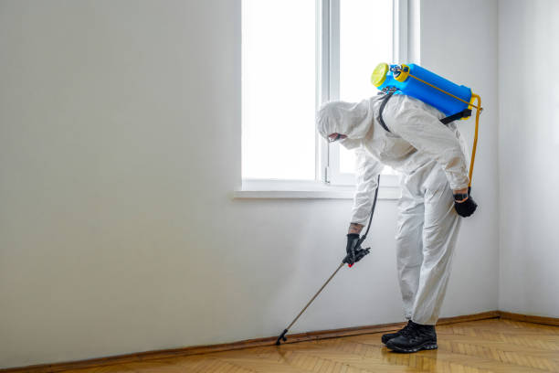 Pest Control for Hotels in Huntingburg, IN